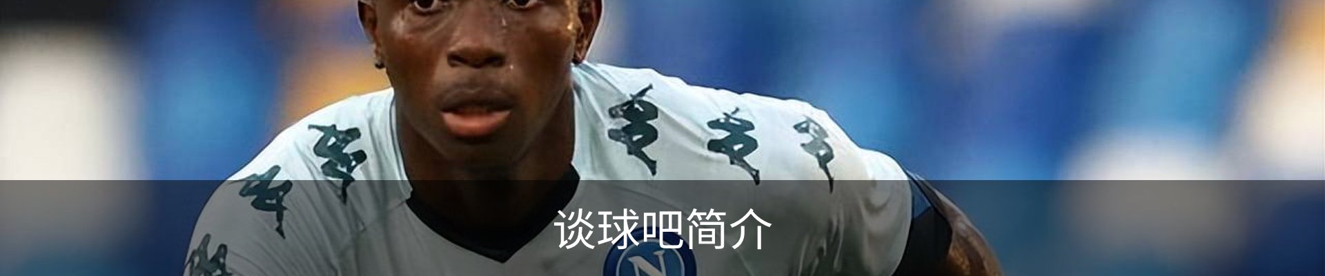 谈球吧简介